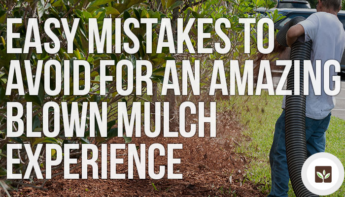 Easy Mistakes to Avoid for an Amazing Blown Mulch Experience