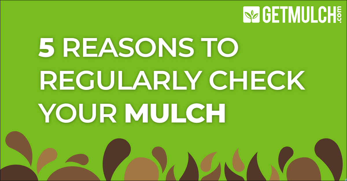 5 Reasons to Regularly Check Your Mulch