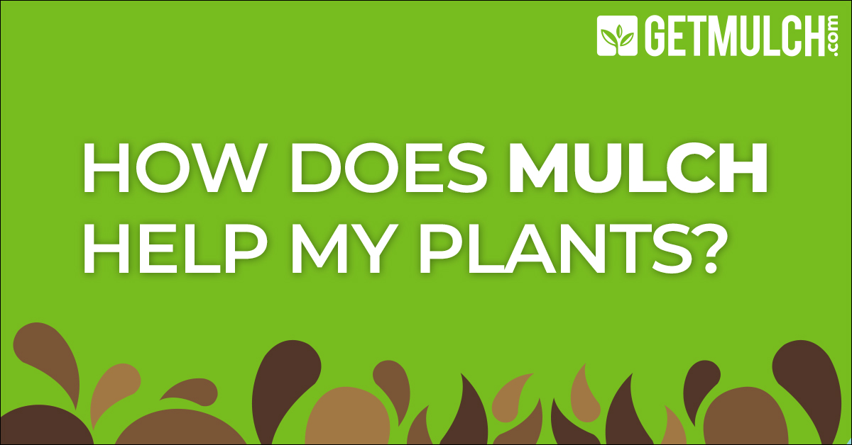 How Does Mulch Help My Plants?