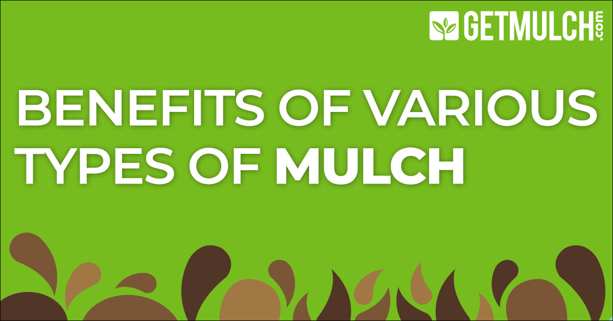 Benefits of Various Types of Mulch